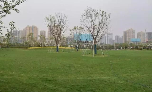 d4d9dfa3b751437ab9b16d3af77a1830_副本.jpg