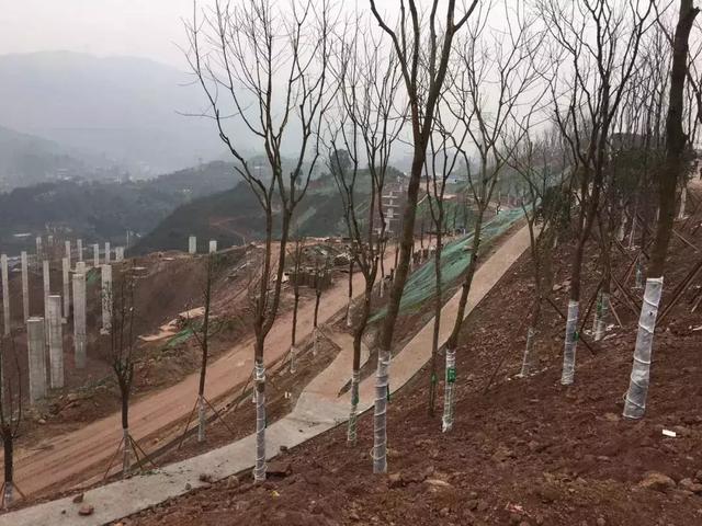 b1a654d71bce4560bbb98cd151fdcdae.jpg