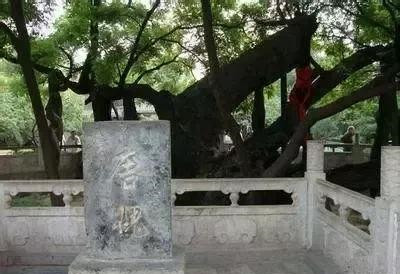 bb298530b27146e99f2a5f13ada35674_副本.jpg